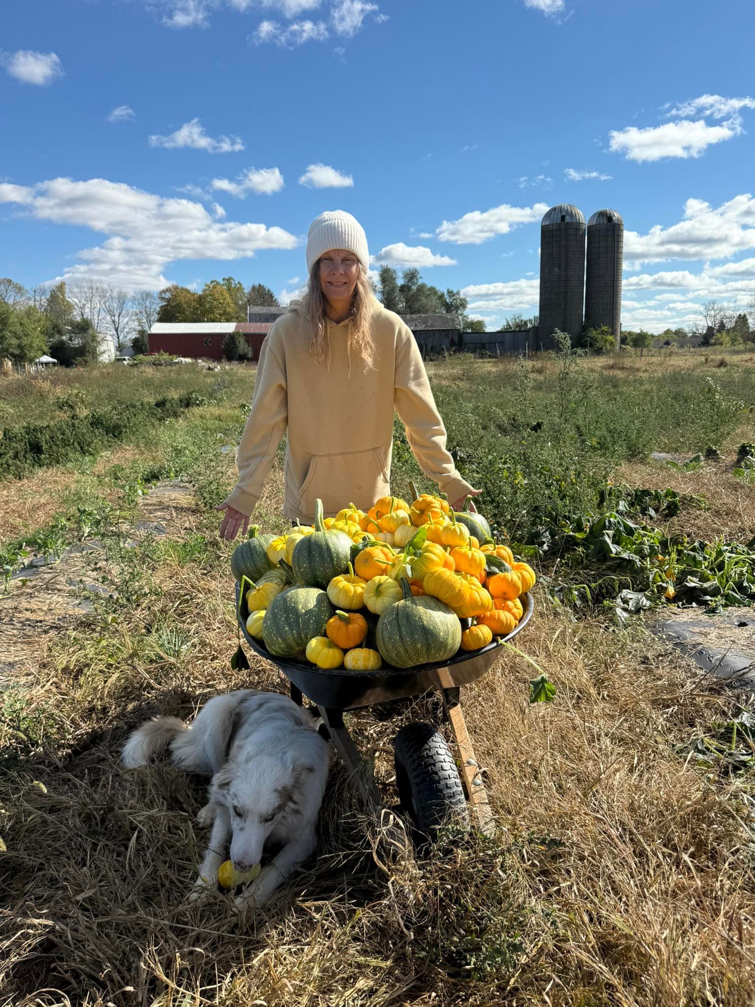 Chrissy during harvest season