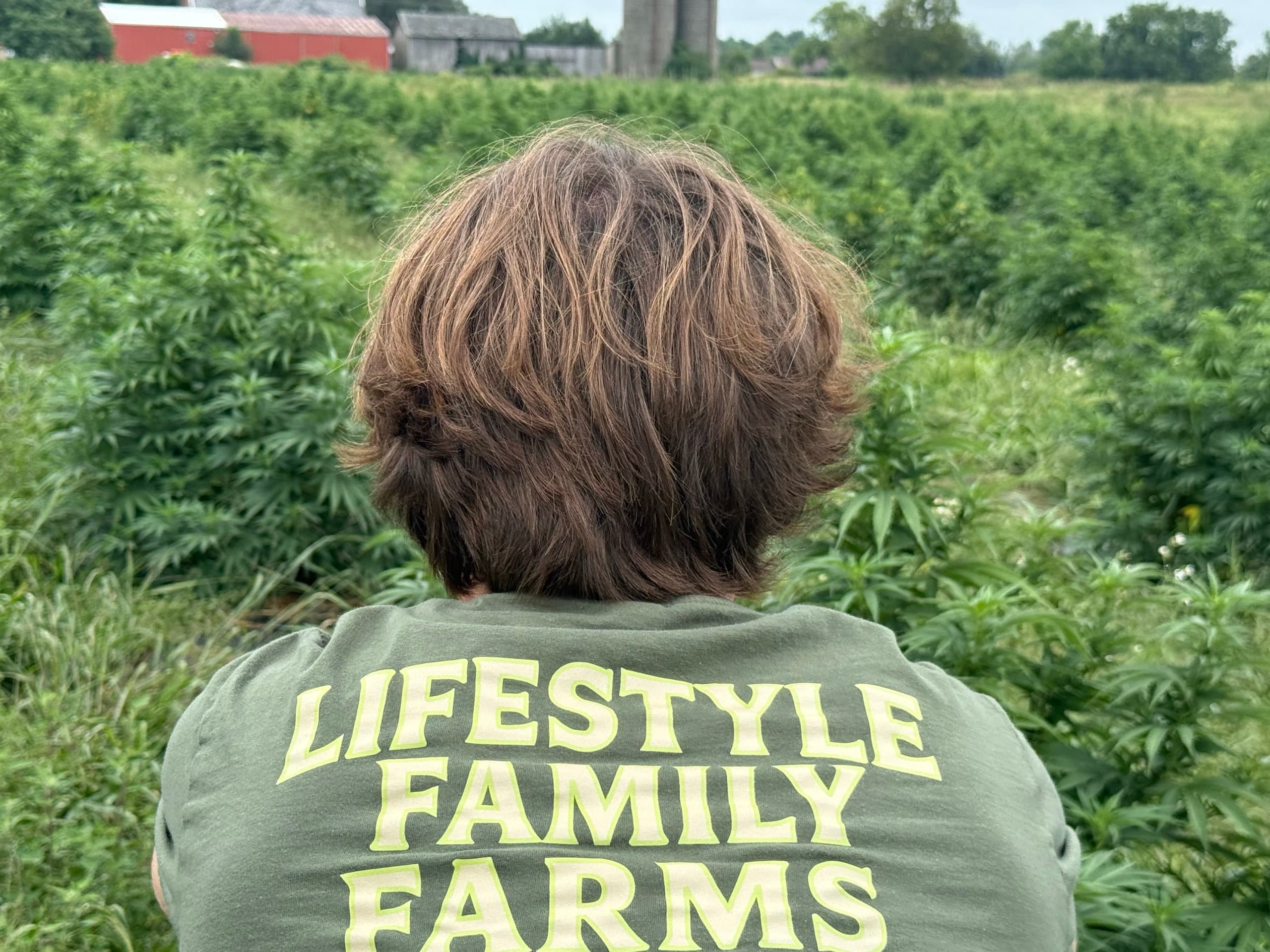 Person wearing a Lifestyle Family Farms shirt looking over the hemp field toward the barn and silos